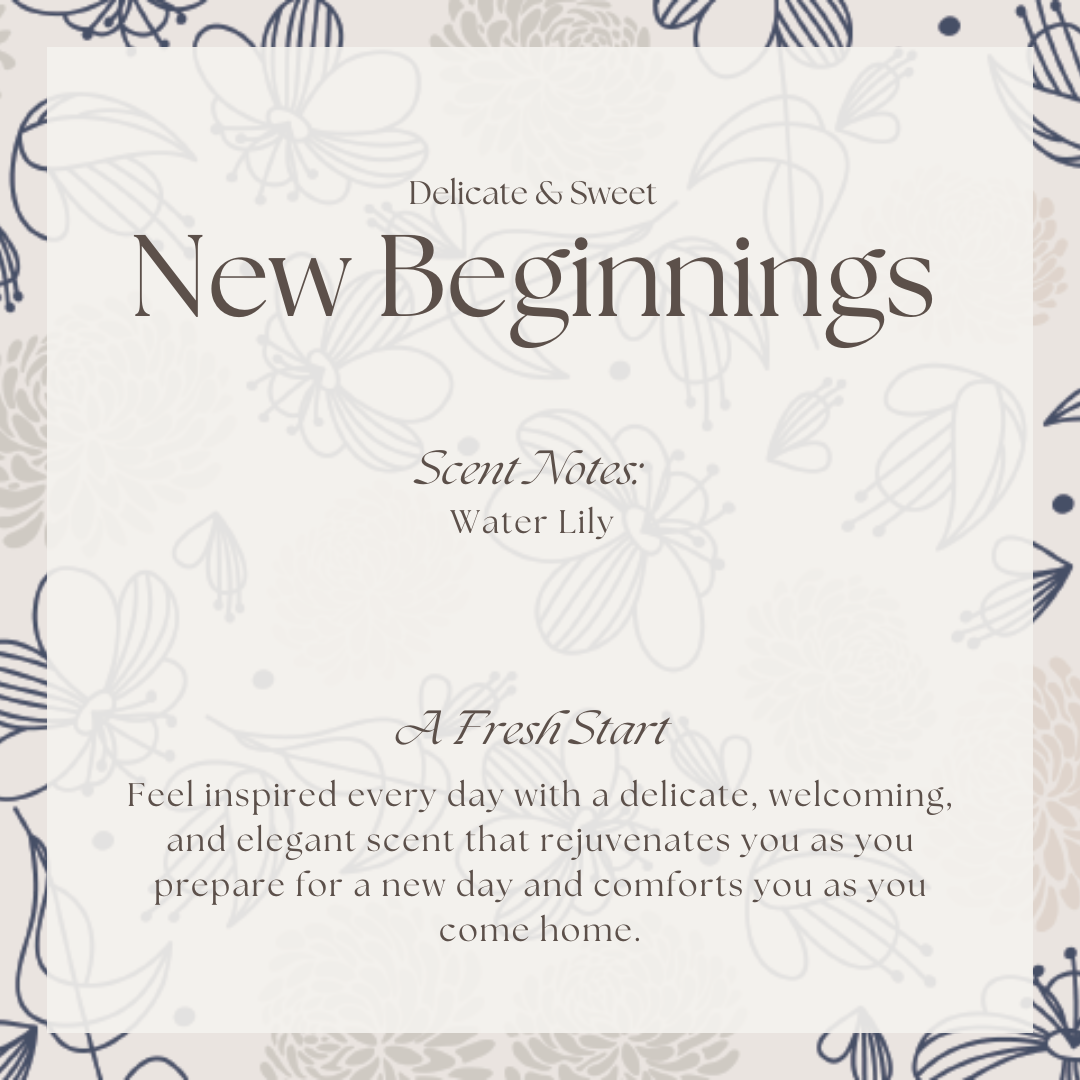 New Beginnings Scented Discovery Diffuser Box